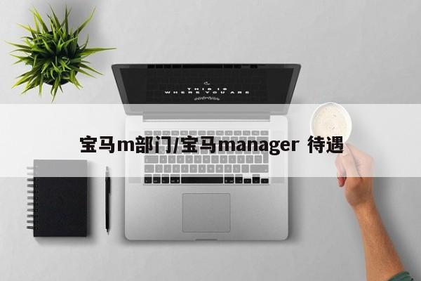 宝马m部门/宝马manager 待遇