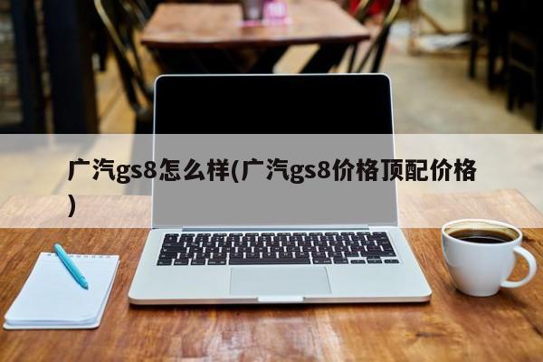 广汽gs8怎么样(广汽gs8价格顶配价格)