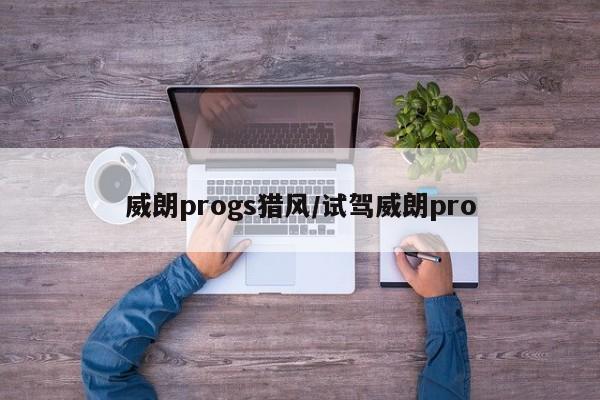 威朗progs猎风/试驾威朗pro