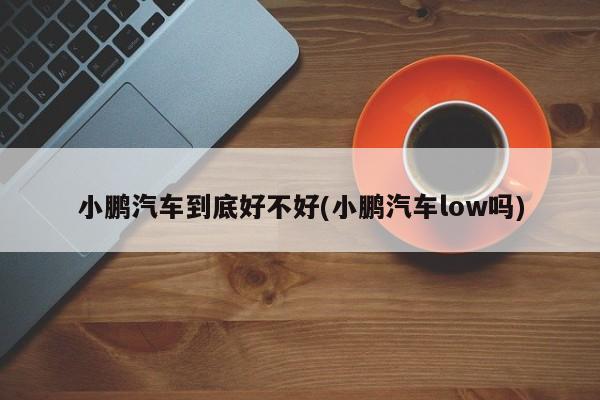 小鹏汽车到底好不好(小鹏汽车low吗)