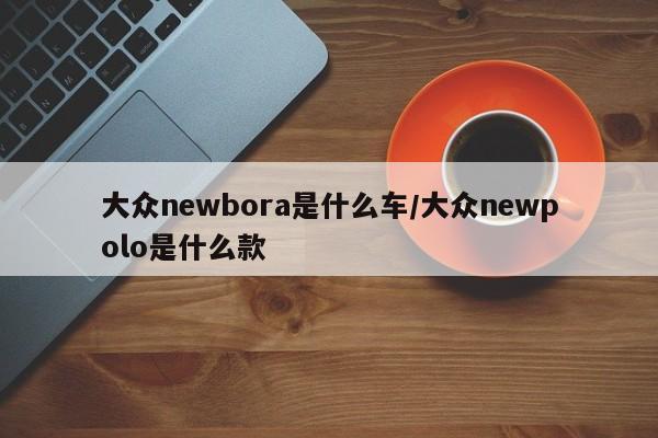 大众newbora是什么车/大众newpolo是什么款