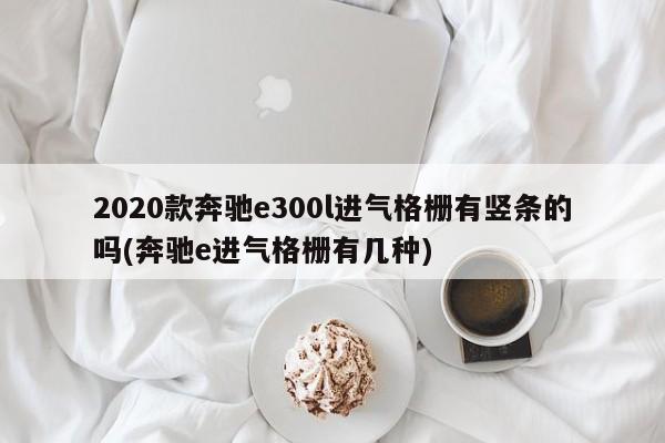 2020款奔驰e300l进气格栅有竖条的吗(奔驰e进气格栅有几种)
